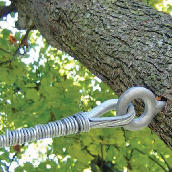 Tree removal service in Granger Indiana