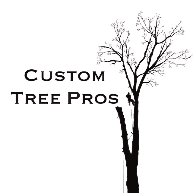 Tree removal service in Granger Indiana