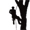 Tree removal service in Granger Indiana